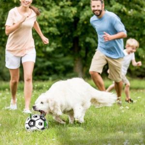 DADYPET Dog Soccer Ball with Grab Tabs Interactive Dog Toy with Ball Pump Z0M5
