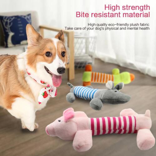 לגאסוס - לקנות מחו"ל בשפה שלך צעצועים Pet Dog Chew Toy Cute Squeaky Soft Plush Sound Play Teeth Puppy Toys N1T2